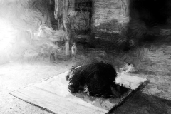 bw-prostrate-Big3-Print