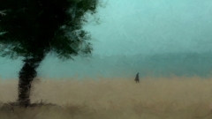 Dunes-Walker-forced-1080-sRGB