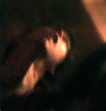 ECU-FACCI.psd-proc-procBG